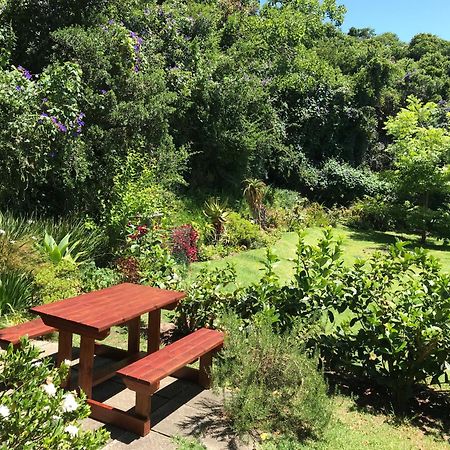 Loeriewood Garden Apartment, Hunters Home Knysna Exterior foto
