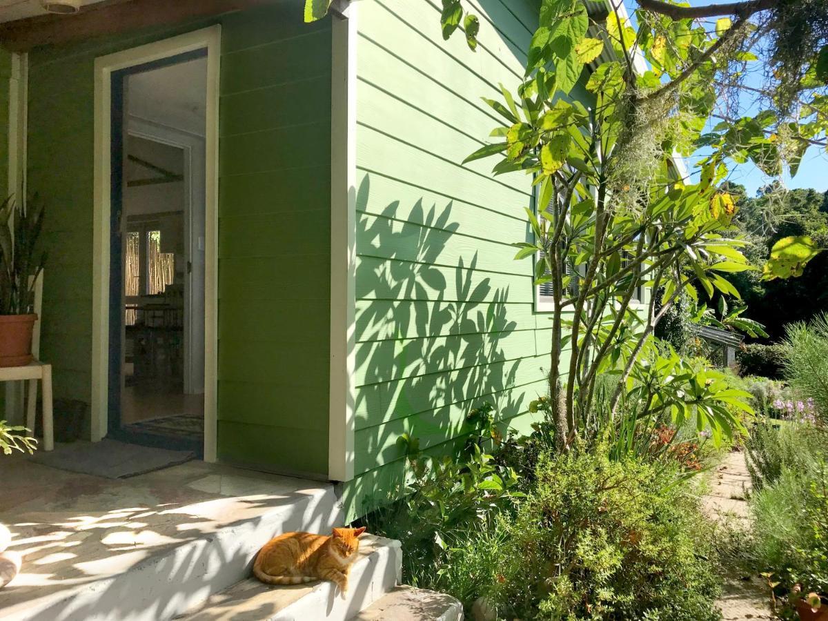 Loeriewood Garden Apartment, Hunters Home Knysna Exterior foto